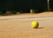 九游VIP-美国网球队鏖战英国网球队，瓦林卡打破历史纪录