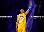 9you娱乐-王朝余晖还是新章序曲？勇士力克绿军，世界排名争夺战迎来格局震荡