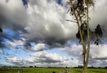 九游娱乐网页-法兰西之刃出鞘！巴黎奥运黑马逆袭，传奇名单暗藏三重杀招