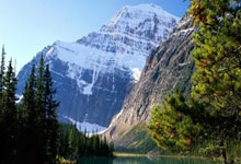 九游娱乐网页-法兰西之刃出鞘！巴黎奥运黑马逆袭，传奇名单暗藏三重杀招