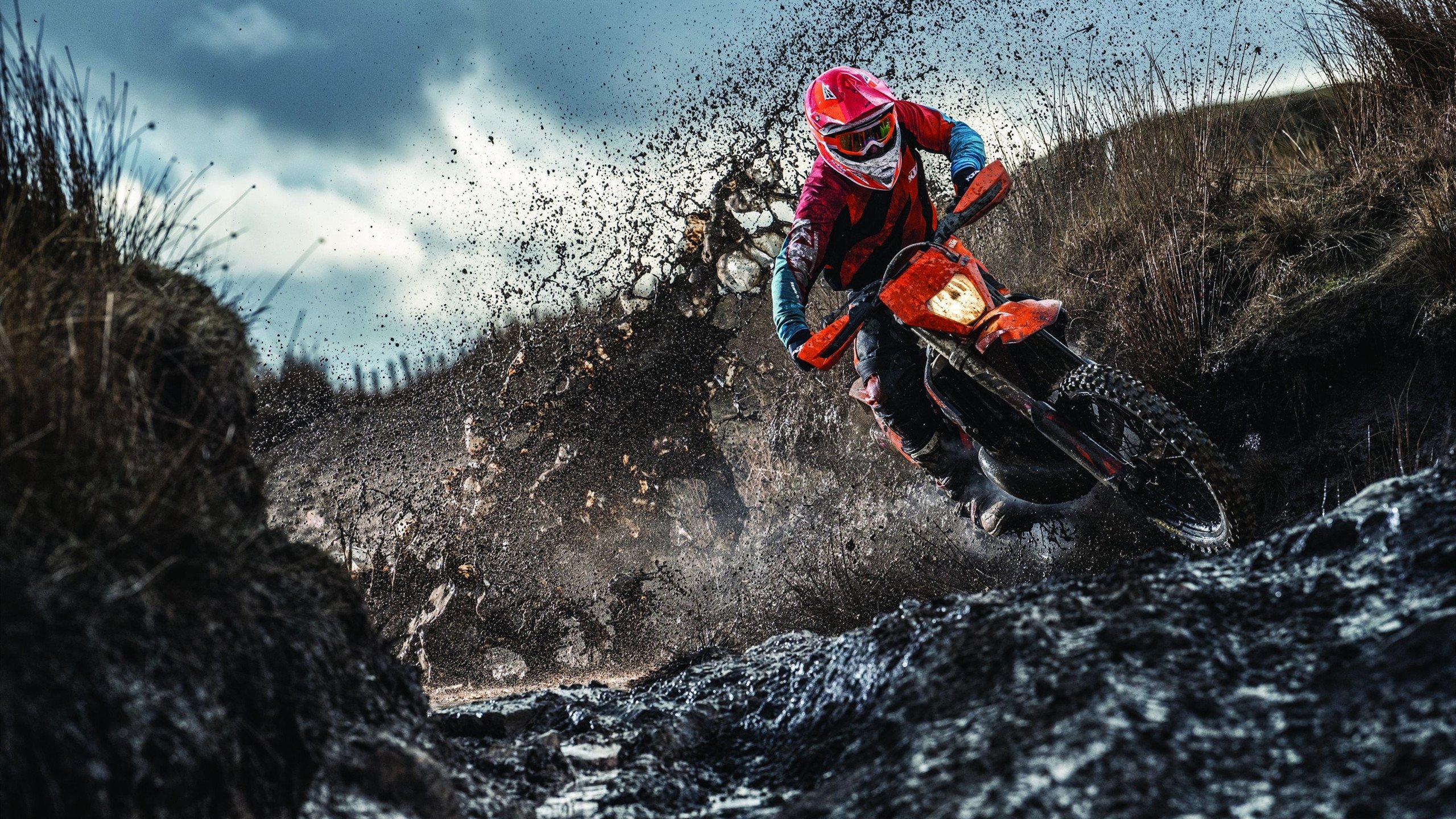 南美雄鹰对决非洲法老，阿劳霍关键回合不手软，秘鲁力克埃及书写经典